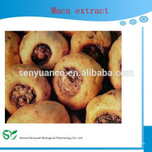 Mejor extracto de Maca de venta